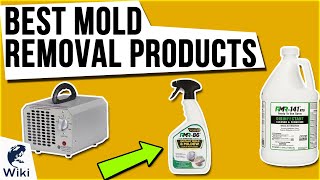 10 Best Mold Removal Products 2020