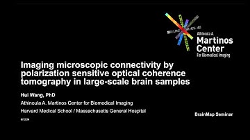 Brainmap: Revealing brain connectivity with polarization sensitive optical coherence tomography