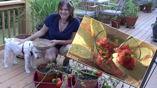 Tomato and Basil Bruschetta Recipe - Using Your Tomatoes and Basil
