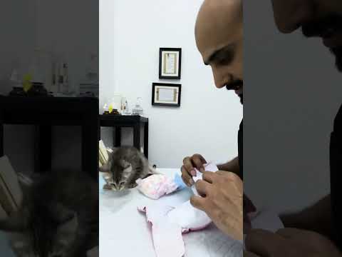 قصه سحابه من ذوي الاحتياجات الخاصة