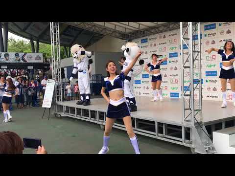 2018.5.26(土)西武ライオンズ bluelegends3