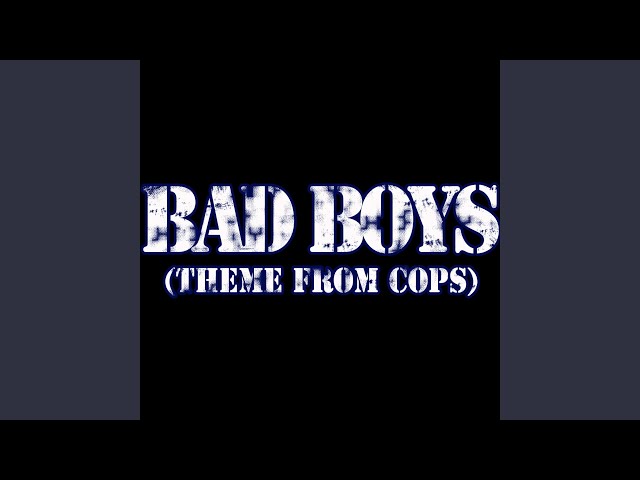 Bad Boys (Theme from Cops) class=