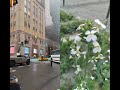 USA cities #usa #usashorts #newyork #usacities