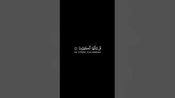 قرآن كريم شاشة سوداء سورة الكافرون #قران_كريم#قرآن #مكة #المدينة_المنورة #راحة_نفسية #المسجد_الحرام