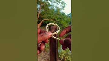 Useful Knots Everyone Should Know. #knotting #tending #knottutorial