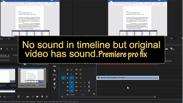 No audio in premiere pro but original video has sound