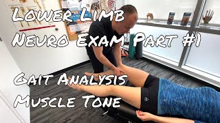 Lower Limb Neuro Exam Part #1- Observation, Gait, Romberg's, Muscle Tone