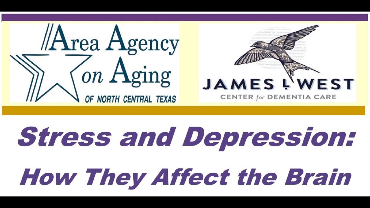 Stress and Depression How They Affect the Brain - YouTube