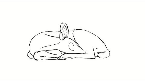 Deer (Animation)