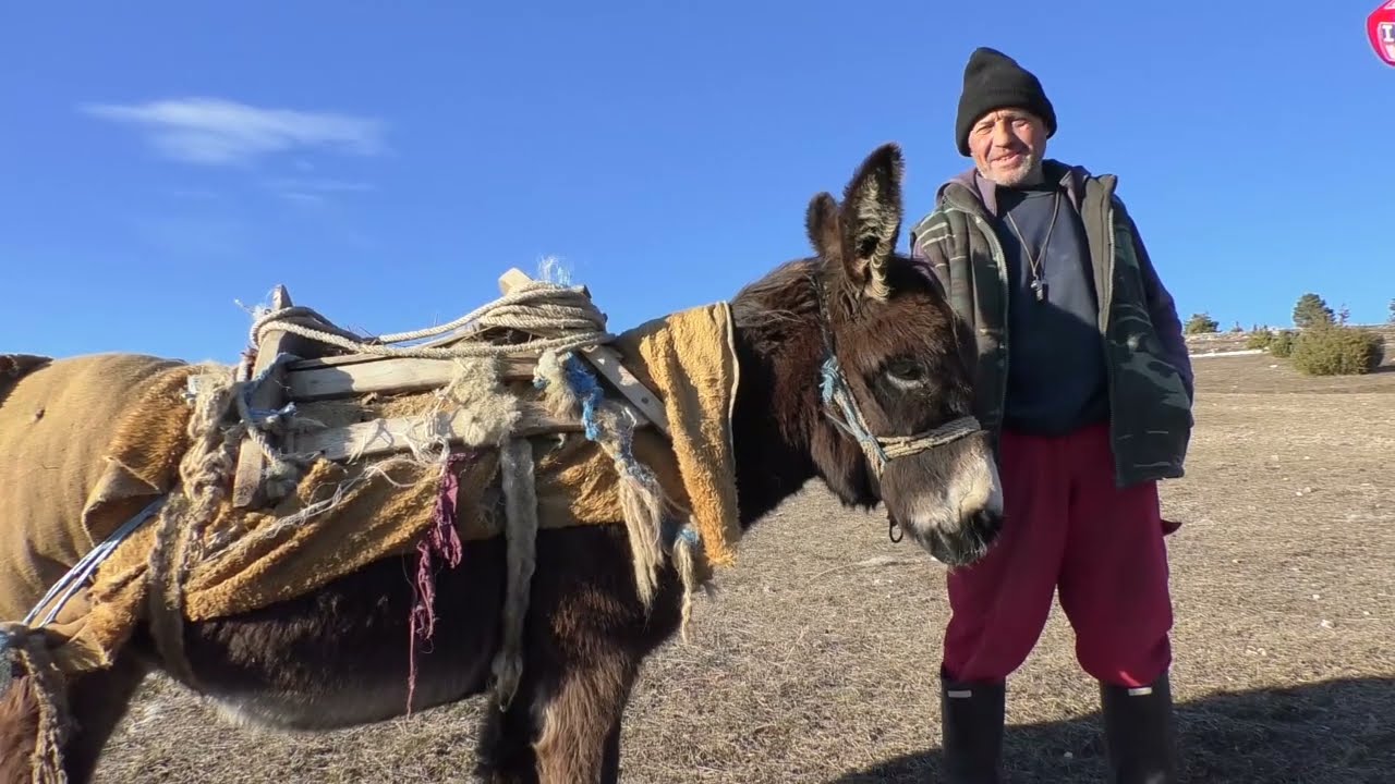 -Vlašićki pastir sa ovcama na Oglavku iznad Gerzova -