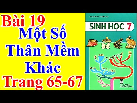 Video Sinh Học Lớp 7 Bài 19 - Một Số Thân Mềm Khác - Trang... - YouTube