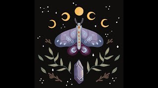 Moth Illustration Procreate