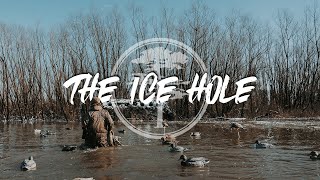Duck Hunting- Giant Groups Of Teal In The Ice Hole