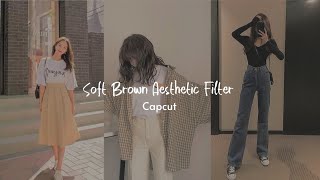 Soft Brown Aesthetic Filter Tutorial // capcut filter preset screenshot 4