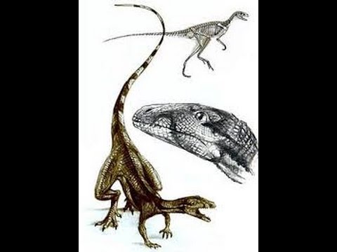 История вымерших животных (Лагозух)