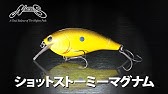 ショットオーバー2 を諸富真二が解説 Youtube ショットオーバー2 を諸富真二が解説 Youtube