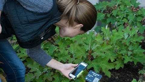 Connecting People with Plants: How QR Codes Are Changing The Game