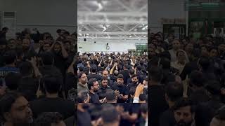 MominoHaidareKarrar Ka matam #nadeemsarwar #viral #yaali #live #todayfeed #feed #karbala #feedshorts