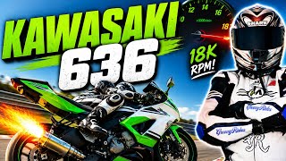 KAWASAKI 636 *The scarce 600*