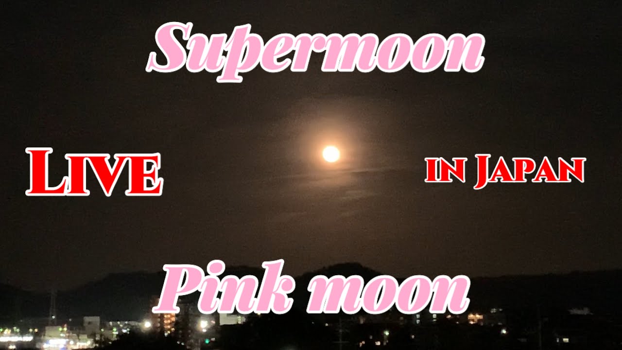 Supermoon (pink moon) April 27,2021 LIVE at Okazaki, Japan