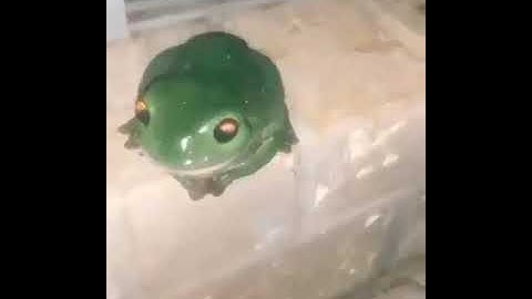 alone at the edge of the universe humming a tune