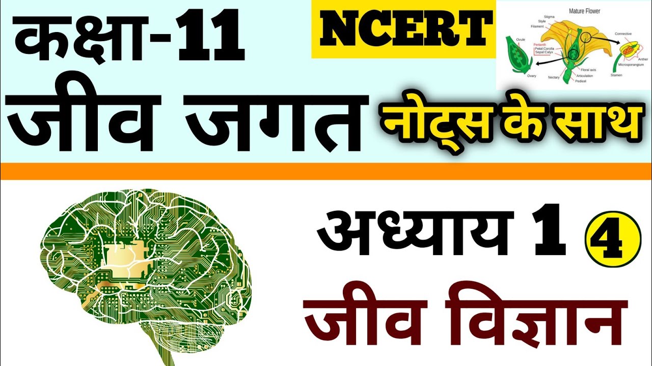 Class 11 biology chapter 1 | The living world | NCERT biology class ...