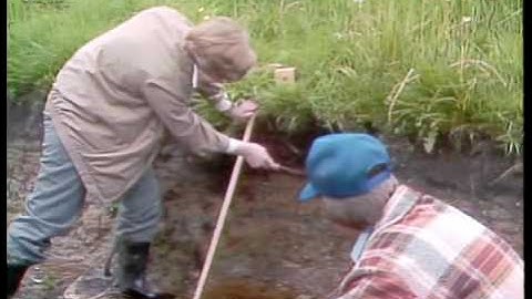 Example of a Transformation Soil Formation Process - Gleying