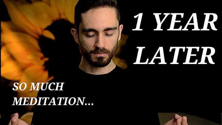 Meditating 1 Hour Every Day - 1 Year Later