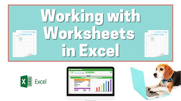 Add, Delete and Rename Worksheets in Excel