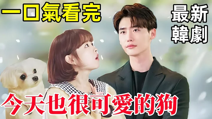 女主到凌晨就变成狗，和男人亲亲才能解咒，一口气看完【今天也很可爱的狗】1~14集全集完整版，2024最新韩剧 - 天天要闻