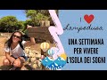 VACANZA A LAMPEDUSA 🐙🐡  L'ISOLA DEI SOGNI