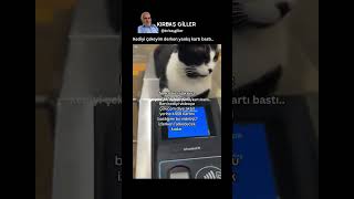 Kediyi çekeyim derken yanlış kartı bastı