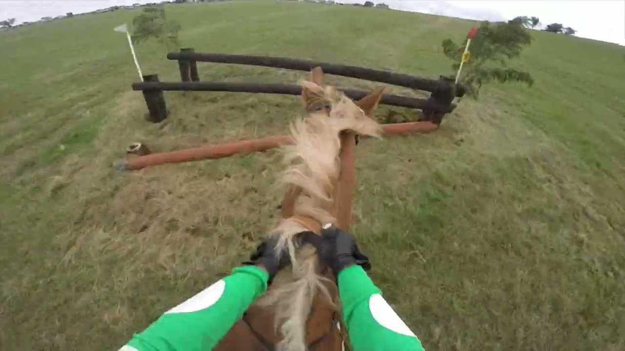 Bailey Berkeley Intermediate 2022