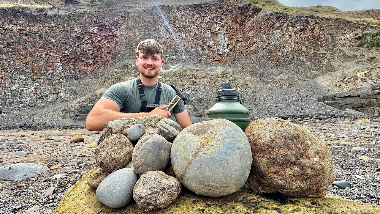 These Giant Stones Were Sealed for Millions of Years – Here’s What We Found Whilst Fossil Hunting!