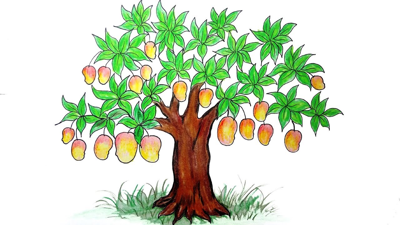 How to Draw Mango tree Very easy Drawing Mango tree - YouTube