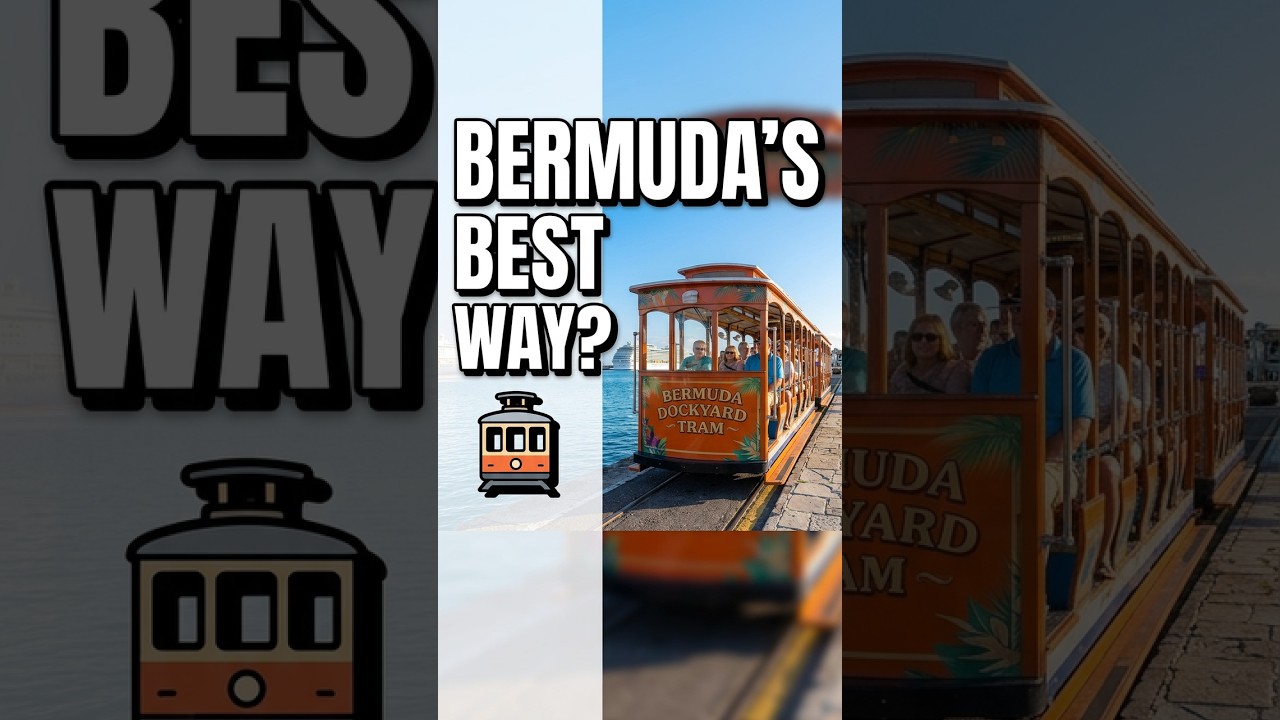 🚊Is this the best way to see Bermuda Dockyard? #cruise #bermuda