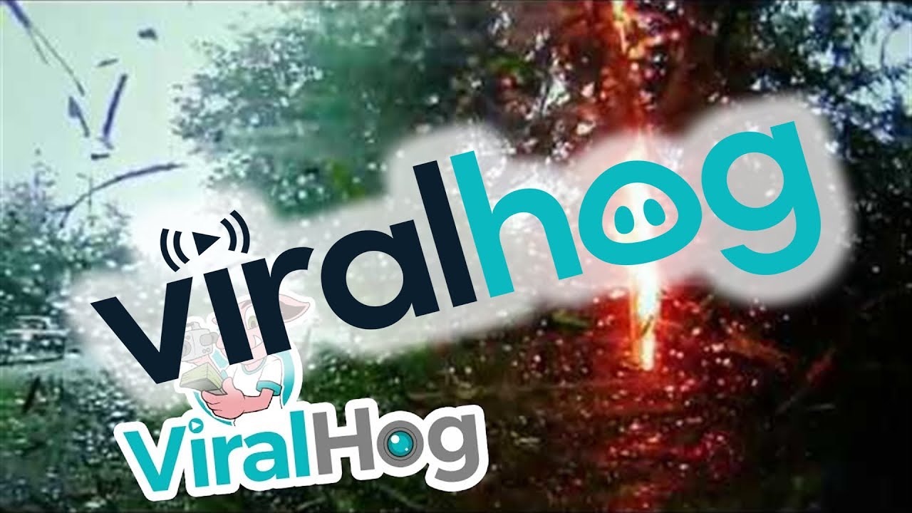 Lightning Strikes Tree, Causing Crash || ViralHog - YouTube