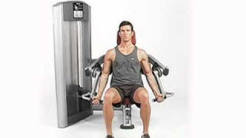 Signature Series Biceps Curl