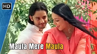 Maula Mere Maula | Anwar (2007) | Siddharth Koirala | Nauheed Cyrusi | Roop Kumar Rathod