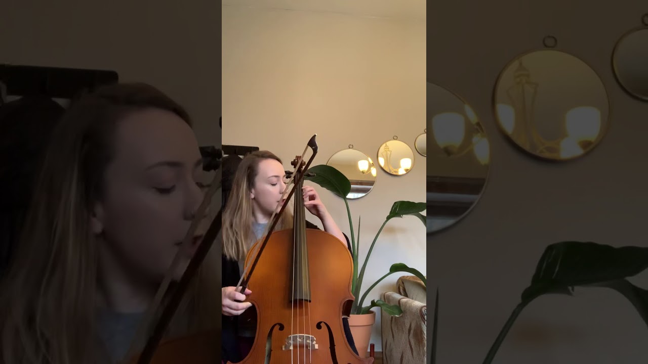 Banana Boat Song Cello and Bass YouTube