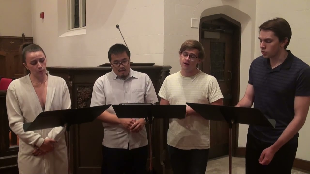 Il bianco e dolce cigno