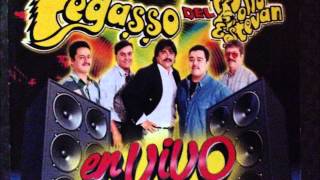 PEGASSO DEL POLLO EN VIVO  el tejanito