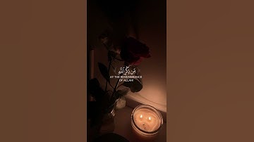سورة الزمر.#ماهر_المعيقلي #القرآن_الكريم #foryou #اكسبلور #quran #لايك