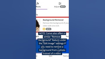 Can You Remove Video Background in Canva?