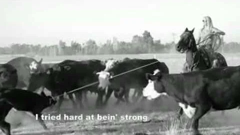 Darrill Beauregard: Catching Horses In The Dawn