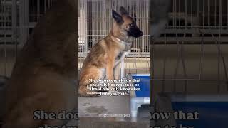 Or Kiara, A At A To Save Her