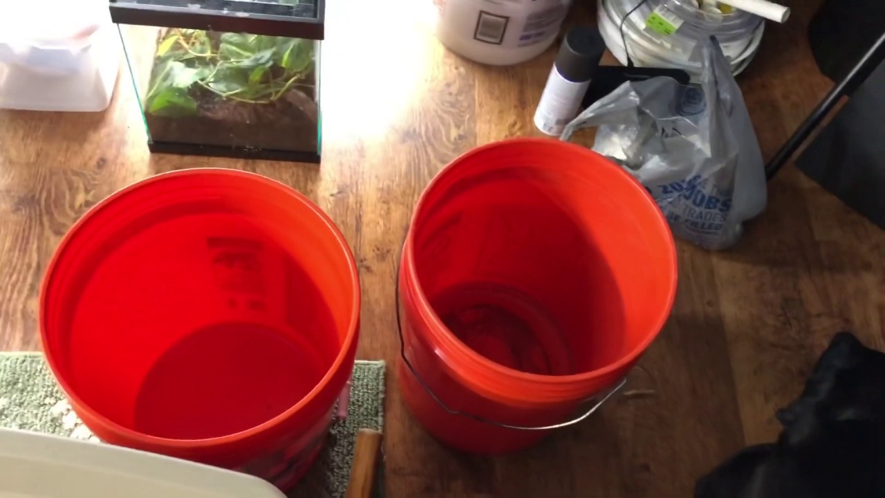 DIY Canister Filter From A 5 Gallon Bucket!!! DIY Reptiles YouTube