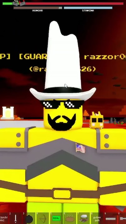 Roblox PMEBGE  Pretty Much Every Border Game Ever, Bordr Hats 