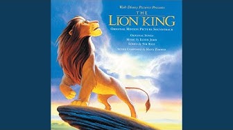 Can You Feel the Love Tonight (End Title/ From "The Lion King"/Soundtrack Version)