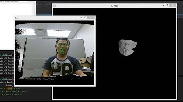 3D Face tracking using RGB-D camera